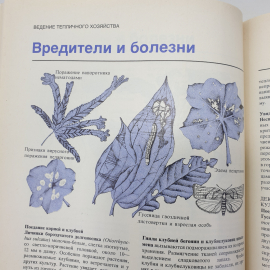 К. Бекетт "Растения под стеклом", издательство Мир, Москва, 1988г.. Картинка 9